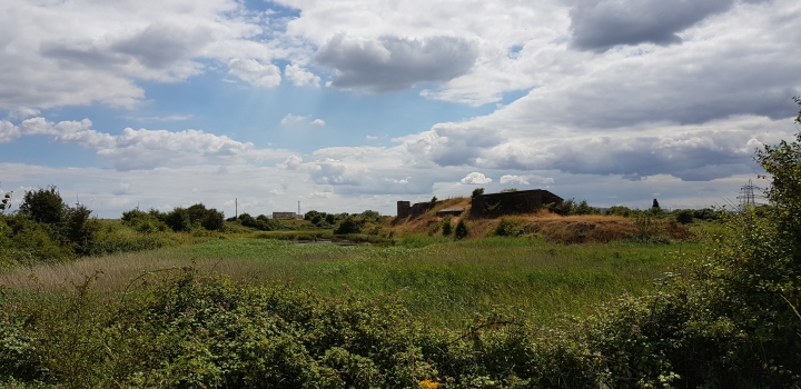 Grain Fort